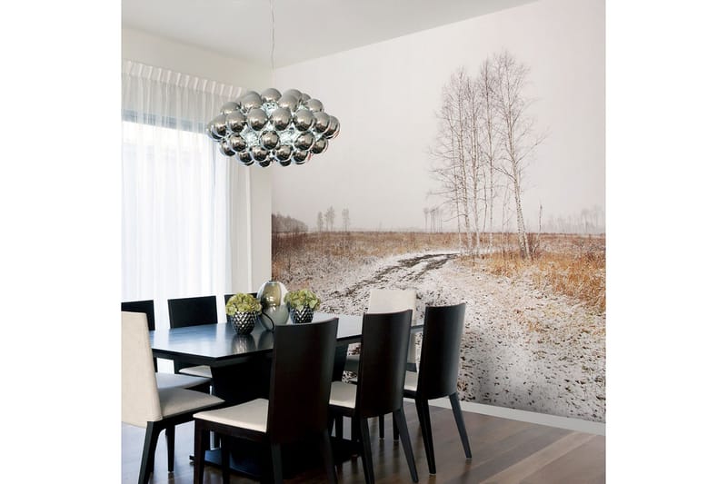 Valokuvatapetti Winter Field 300x231, Artgeist sp. z o. o.