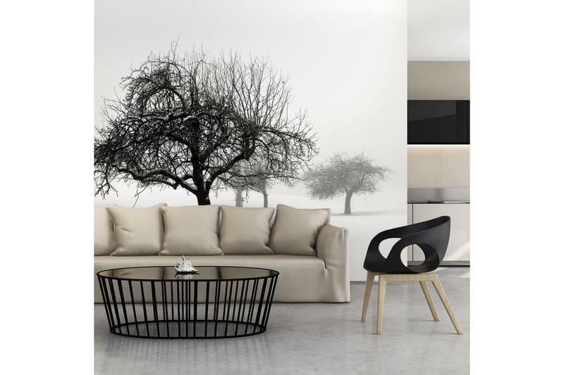 Valokuvatapetti Winter Trees 300x231 - Artgeist sp. z o. o. - Sisustustuotteet - Seinäkoristeet - Tapetit - Valokuvatapetit