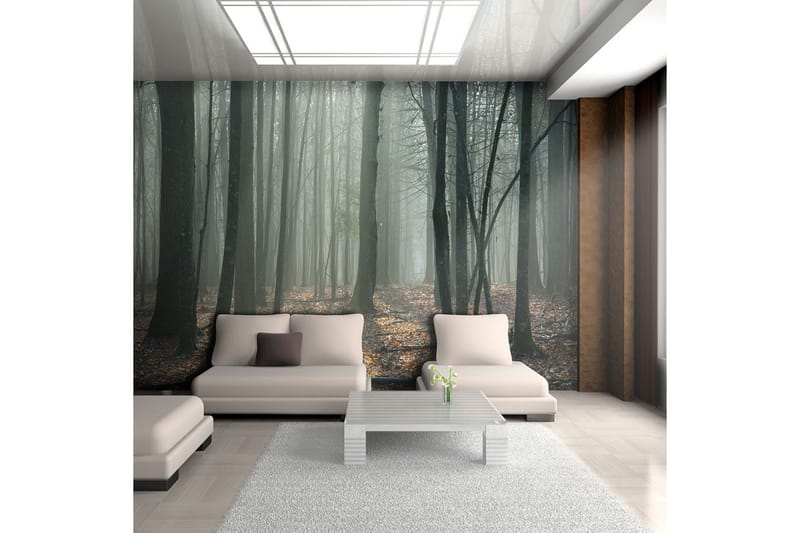 Valokuvatapetti Witches' Forest 250x193 - Artgeist sp. z o. o. - Sisustustuotteet - Seinäkoristeet - Tapetit - Valokuvatapetit