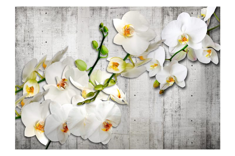 Valokuvatapetti With Saffron Accent 150x105 - Artgeist sp. z o. o. - Sisustustuotteet - Seinäkoristeet - Tapetit - Valokuvatapetit