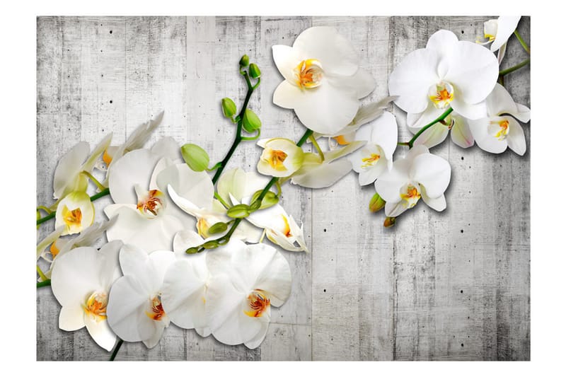 Valokuvatapetti With Saffron Accent 200x140 - Artgeist sp. z o. o. - Sisustustuotteet - Seinäkoristeet - Tapetit - Valokuvatapetit