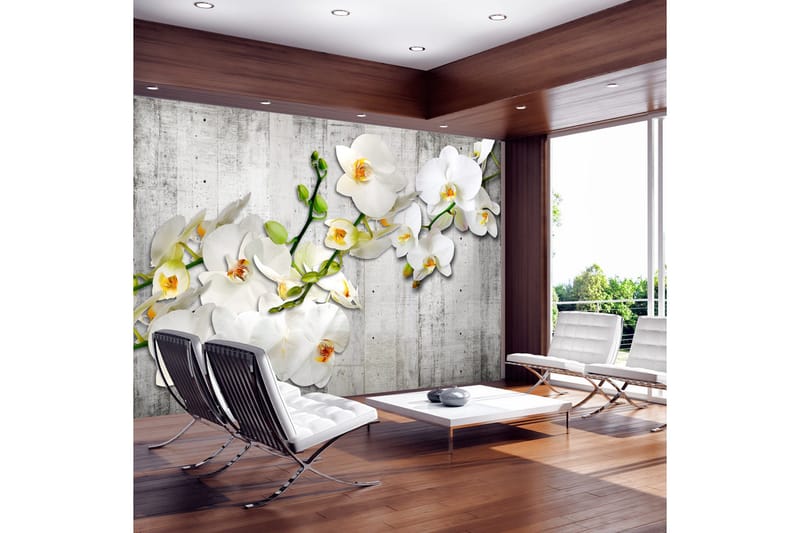Valokuvatapetti With Saffron Accent 300x210, Artgeist sp. z o. o.