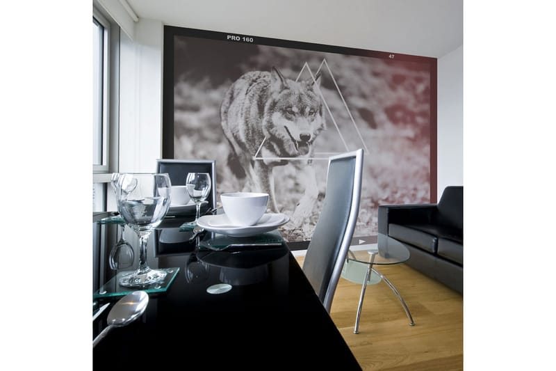 Valokuvatapetti Wolf Photo 300x231, Artgeist sp. z o. o.