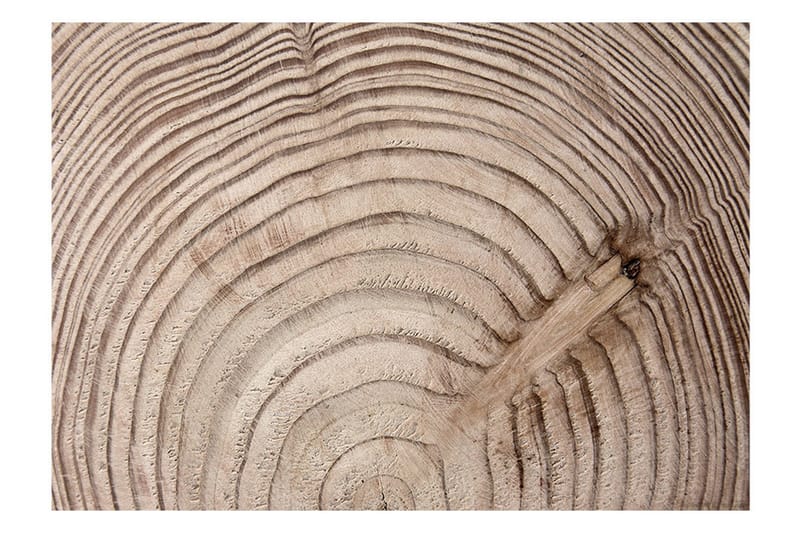 Valokuvatapetti Wood Grain 100x70 - Artgeist sp. z o. o. - Sisustustuotteet - Seinäkoristeet - Tapetit - Valokuvatapetit