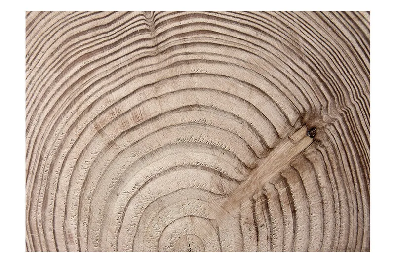 Valokuvatapetti Wood Grain 350x245 - Artgeist sp. z o. o. - Sisustustuotteet - Seinäkoristeet - Tapetit - Valokuvatapetit