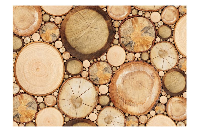 Valokuvatapetti Wood Grains 350x245 - Artgeist sp. z o. o. - Sisustustuotteet - Seinäkoristeet - Tapetit - Valokuvatapetit