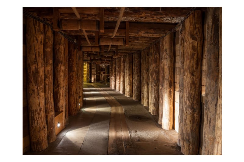 Valokuvatapetti Wooden Passage 250x193 - Artgeist sp. z o. o. - Sisustustuotteet - Seinäkoristeet - Tapetit - Valokuvatapetit