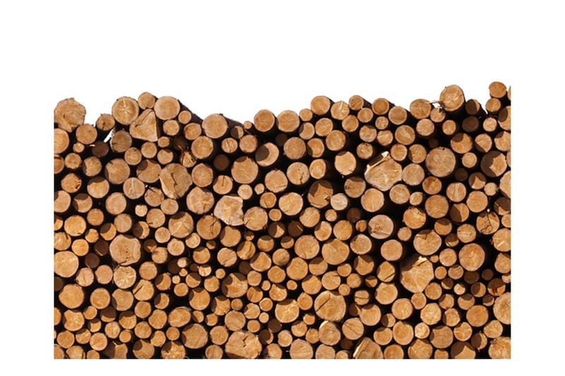 Valokuvatapetti Woodpile 200x154, Artgeist sp. z o. o.