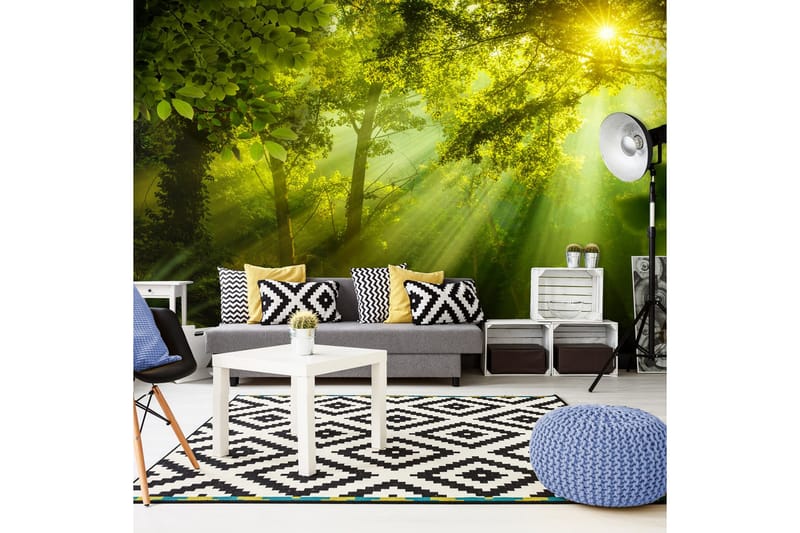 Valokuvatapetti XXL In A Secret Forest II 500x280, Artgeist sp. z o. o.