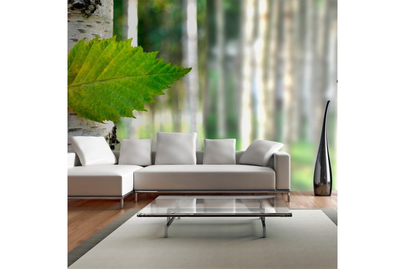 Valokuvatapetti XXL Koivunlehti 550x270, Artgeist sp. z o. o.