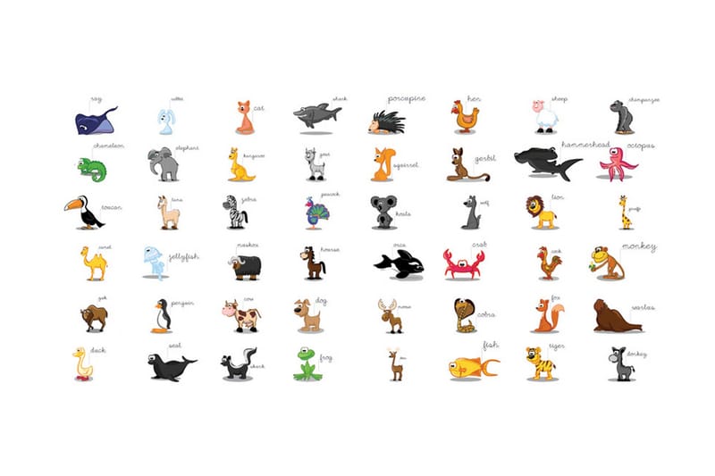 Valokuvatapetti XXL Learning By Playing Animals 550x270 - Artgeist sp. z o. o. - Sisustustuotteet - Seinäkoristeet - Tapetit - Valokuvatapetit