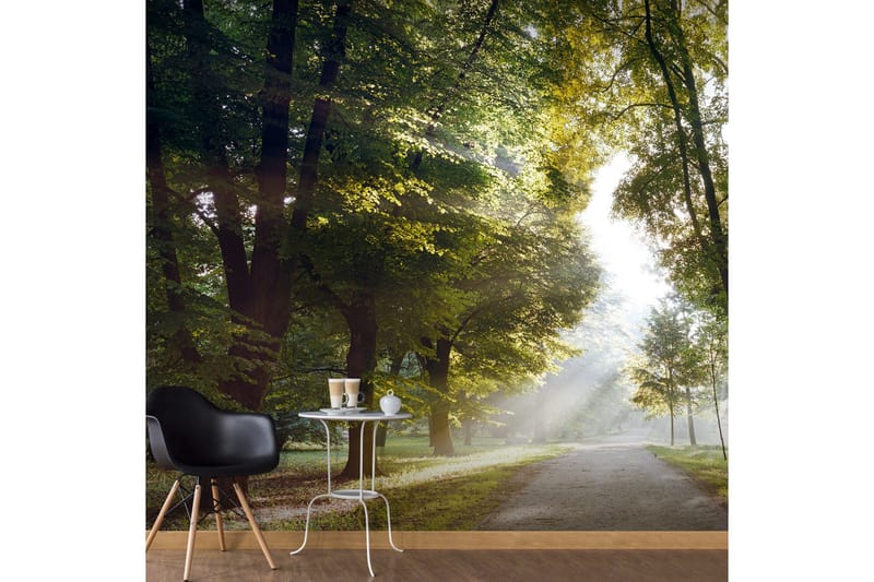 Valokuvatapetti XXL Morning Walk II 600x280, Artgeist sp. z o. o.