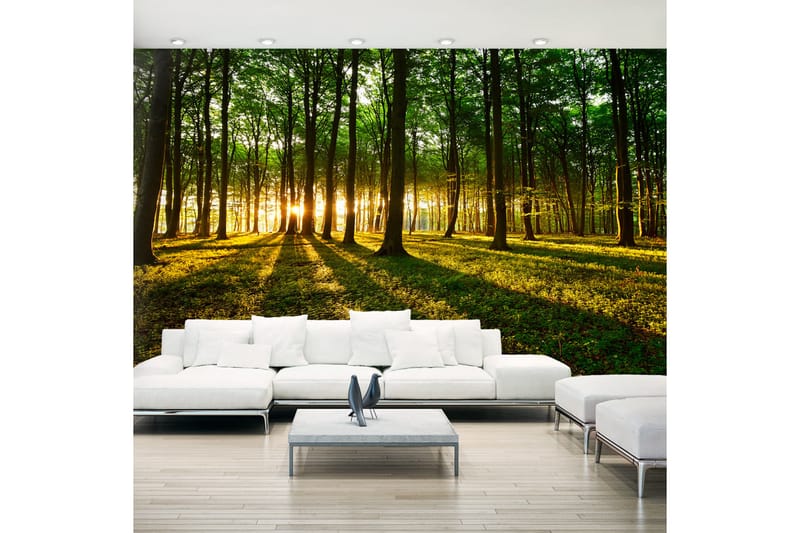Valokuvatapetti XXL Mystical Morning II 500x280 - Artgeist sp. z o. o. - Sisustustuotteet - Seinäkoristeet - Tapetit - Valokuvatapetit