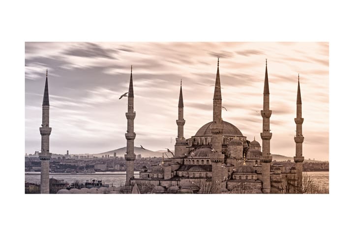Valokuvatapetti XXL Sininen Moskeija Istanbul 550x270 - Artgeist sp. z o. o. - Valokuvatapetit
