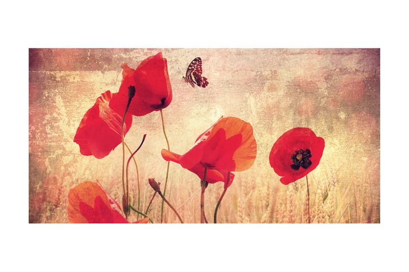 Valokuvatapetti XXL Summer Is Coming 550x270 - Artgeist sp. z o. o. - Sisustustuotteet - Seinäkoristeet - Tapetit - Valokuvatapetit