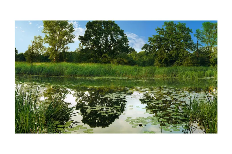 Valokuvatapetti XXL The Magic Pond II 600x280 - Artgeist sp. z o. o. - Sisustustuotteet - Seinäkoristeet - Tapetit - Valokuvatapetit