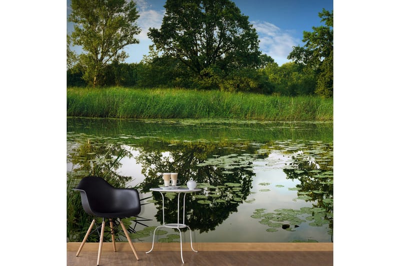 Valokuvatapetti XXL The Magic Pond II 600x280, Artgeist sp. z o. o.