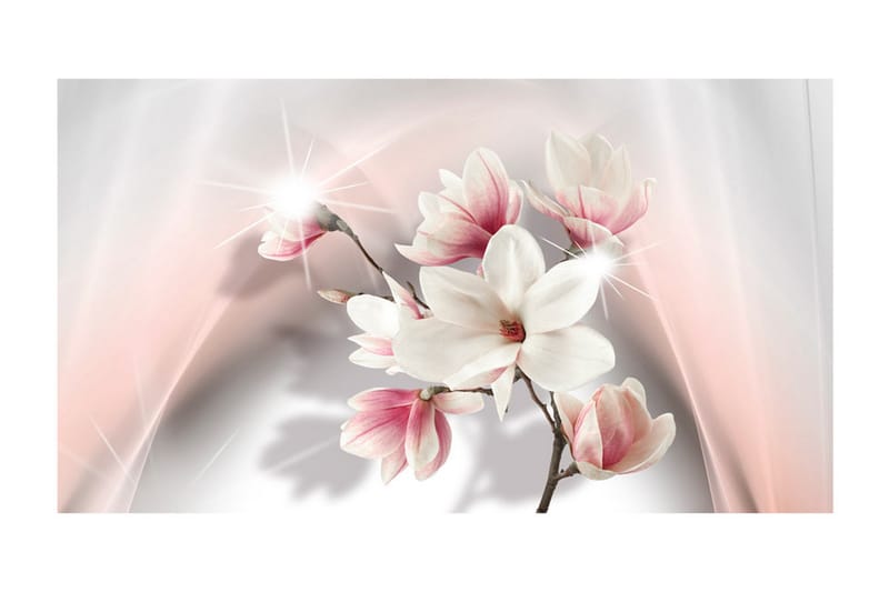 Valokuvatapetti XXL White Magnolias II 500x280 - Artgeist sp. z o. o. - Sisustustuotteet - Seinäkoristeet - Tapetit - Valokuvatapetit