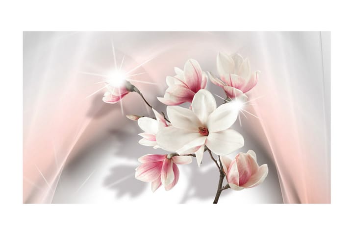 Valokuvatapetti XXL White Magnolias II 500x280 - Artgeist sp. z o. o. - Valokuvatapetit