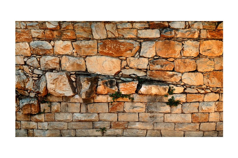 Valokuvatapetti XXL Prelude Of The Day II 500x280 - Artgeist sp. z o. o. - Sisustustuotteet - Seinäkoristeet - Tapetit - Valokuvatapetit