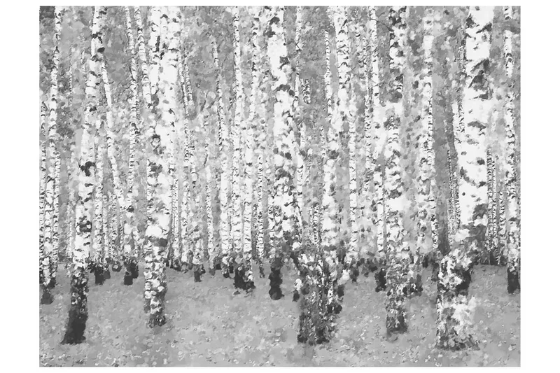 Valokuvatapetti Yksinäinen Koivu 400x309, Artgeist sp. z o. o.