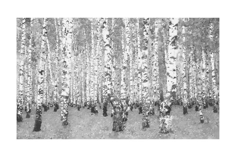 Valokuvatapetti Yksinäinen Koivu 450x270 - Artgeist sp. z o. o. - Sisustustuotteet - Seinäkoristeet - Tapetit - Valokuvatapetit