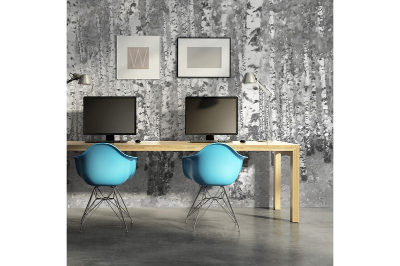 Valokuvatapetti Yksinäinen Koivu 450x270, Artgeist sp. z o. o.