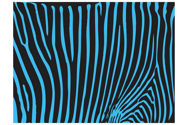 Valokuvatapetti Zebra Kuvio Turkoosi 250x193, Artgeist sp. z o. o.