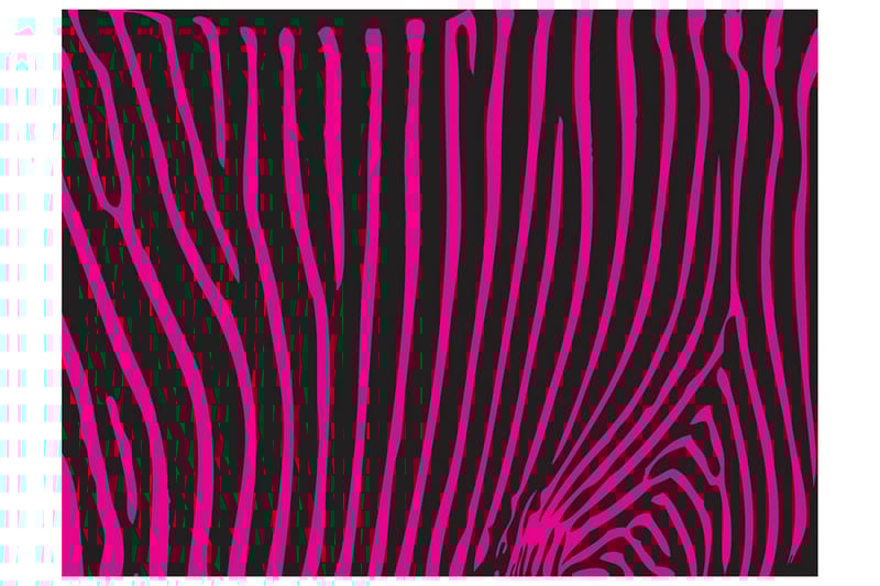 Valokuvatapetti Zepra Kuvio Violet 350x270 - Artgeist sp. z o. o. - Sisustustuotteet - Seinäkoristeet - Tapetit - Valokuvatapetit