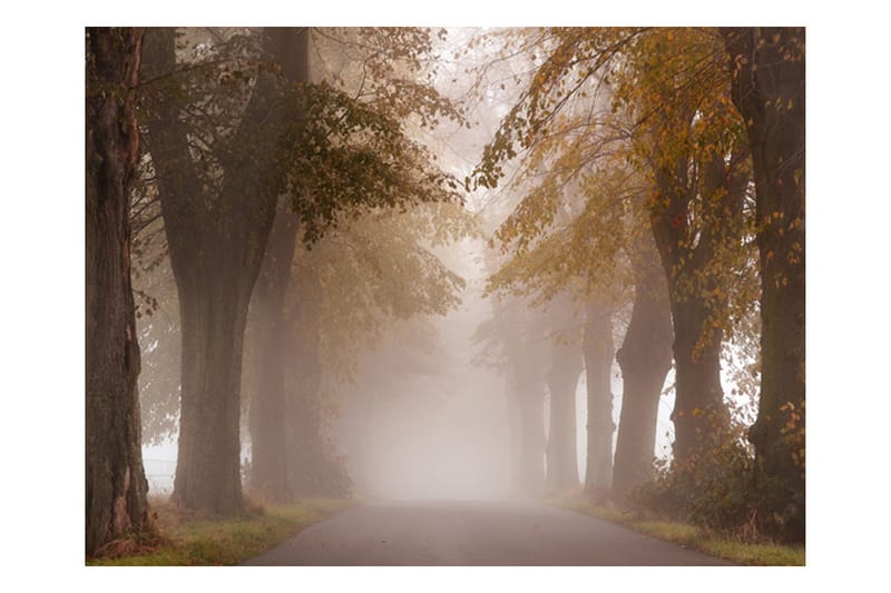 Valokuvatapetti Piste 350x270, Artgeist sp. z o. o.