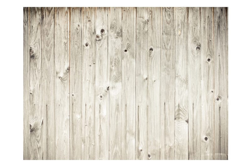 Valokuvatapetti Puuaita 200x154 - Artgeist sp. z o. o. - Sisustustuotteet - Seinäkoristeet - Tapetit - Valokuvatapetit