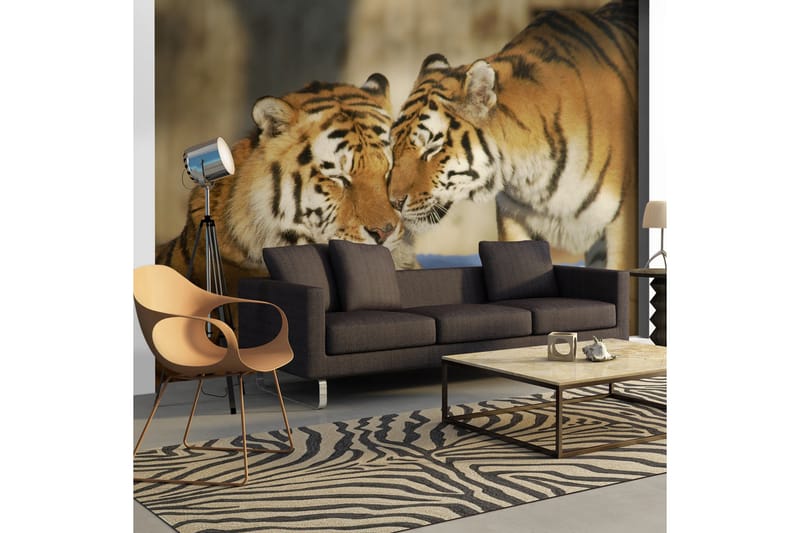 Valokuvatapetti Pyyteetön rakkaus 350x270, Artgeist sp. z o. o.