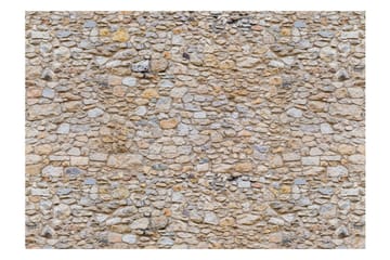 Valokuvatapetti Pebbles 300x210 - Artgeist sp. z o. o. - Sisustustuotteet - Seinäkoristeet - Tapetit - Valokuvatapetit