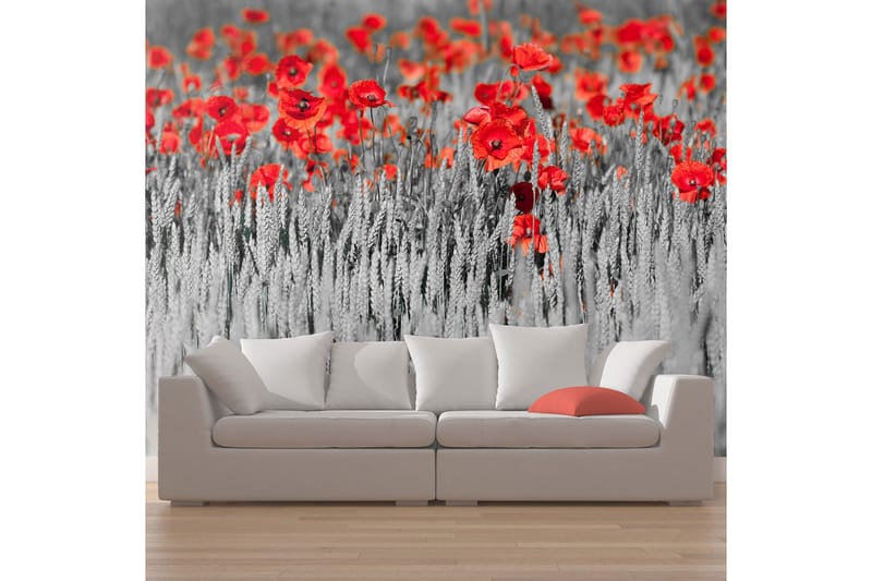 Valokuvatapetti Punainen unikko mustalla ja valkoisella 450x - Artgeist sp. z o. o. - Sisustustuotteet - Seinäkoristeet - Tapetit - Valokuvatapetit