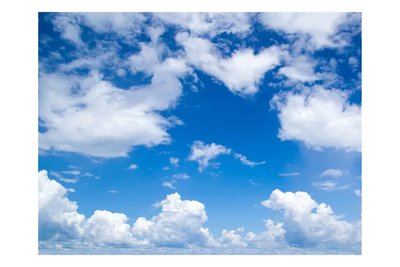 Valokuvatapetti Paljaan taivaan alla 300x231 - Artgeist sp. z o. o. - Sisustustuotteet - Seinäkoristeet - Tapetit - Valokuvatapetit