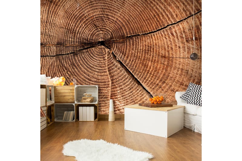 Valokuvatapetti Puunrunko Poikkileikkaus 250x193, Artgeist sp. z o. o.