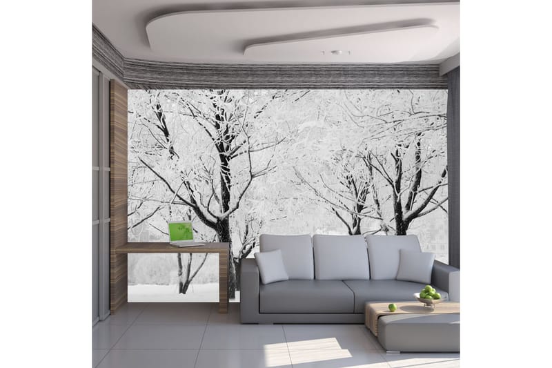 Valokuvatapetti Puu Talvimaisema 350x270, Artgeist sp. z o. o.