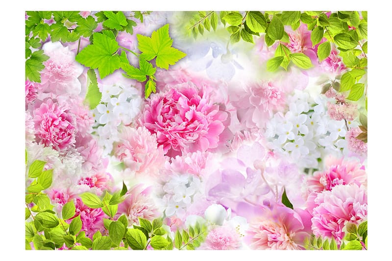 Valokuvatapetti Peonies 300x210 - Artgeist sp. z o. o. - Valokuvatapetit