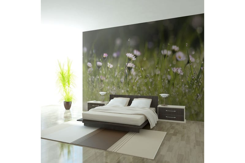 Valokuvatapetti Päivänkakkarat Aamukastetta 250x193, Artgeist sp. z o. o.