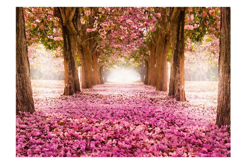 Valokuvatapetti Pink Grove 250x175 - Artgeist sp. z o. o. - Sisustustuotteet - Seinäkoristeet - Tapetit - Valokuvatapetit