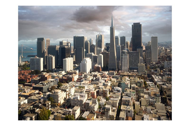 Valokuvatapetti Puu Syksy Tunneli 200x154, Artgeist sp. z o. o.