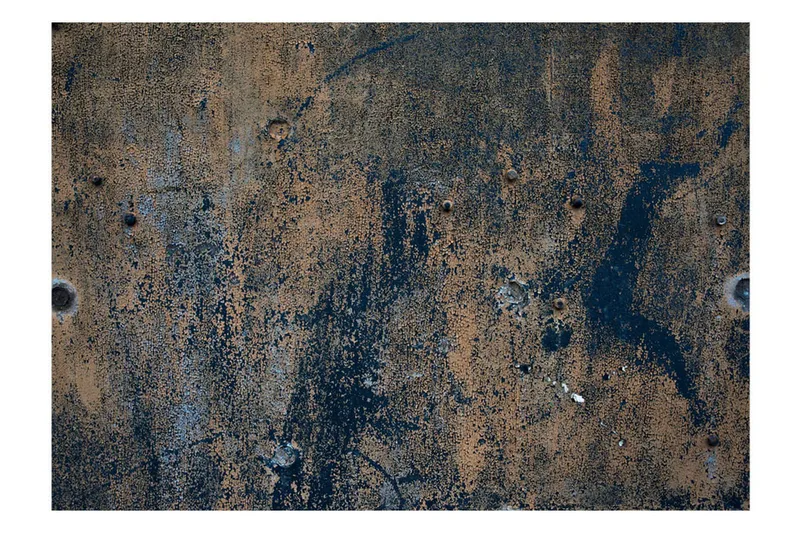 Valokuvatapetti Prehistoric Dance 400x280 - Artgeist sp. z o. o. - Sisustustuotteet - Seinäkoristeet - Tapetit - Valokuvatapetit