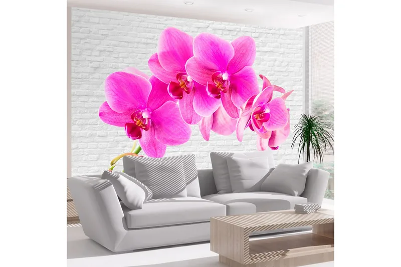 Valokuvatapetti Pink Excitation 350x245, Artgeist sp. z o. o.