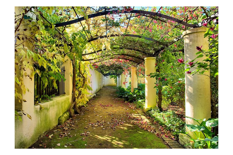 Valokuvatapetti Pergola 250x175 - Artgeist sp. z o. o. - Sisustustuotteet - Seinäkoristeet - Tapetit - Valokuvatapetit