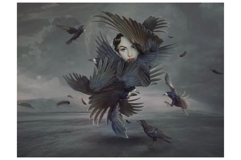 Valokuvatapetti Peitetyt Höyhenet 250x193, Artgeist sp. z o. o.