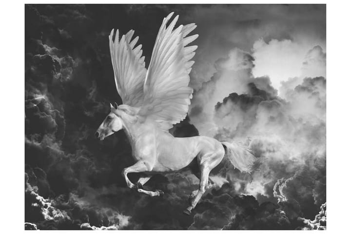 Valokuvatapetti Pegasus Matkalla Mount Olympukselle 200x154 - Artgeist sp. z o. o. - Valokuvatapetit