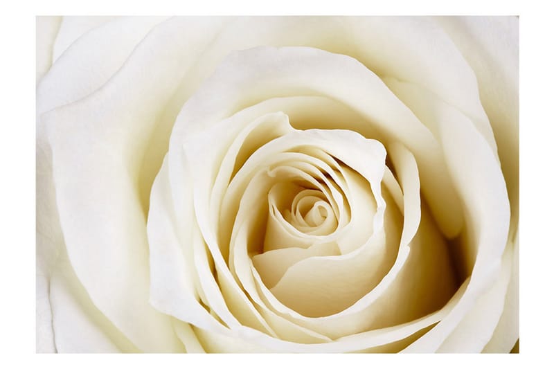 Valokuvatapetti Pearl Maze 200x140 - Artgeist sp. z o. o. - Sisustustuotteet - Seinäkoristeet - Tapetit - Valokuvatapetit