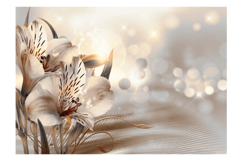 Valokuvatapetti Princesses Of The Morning 200x140 - Artgeist sp. z o. o. - Sisustustuotteet - Seinäkoristeet - Tapetit - Valokuvatapetit