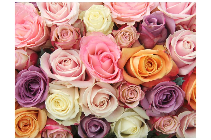 Valokuvatapetti Pastel Roses 250x193 - Artgeist sp. z o. o. - Sisustustuotteet - Seinäkoristeet - Tapetit - Valokuvatapetit
