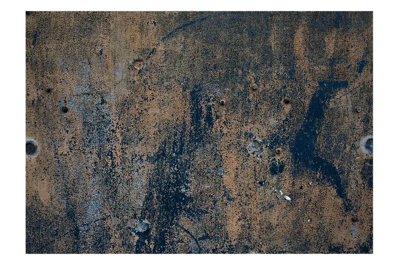 Valokuvatapetti Prehistoric Dance 400x280 - Artgeist sp. z o. o. - Sisustustuotteet - Seinäkoristeet - Tapetit - Valokuvatapetit